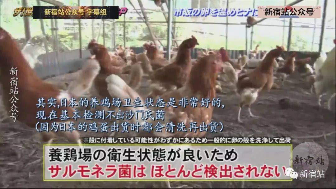 梦境的异域，解析梦见生吃活小鸡治病的深层含义