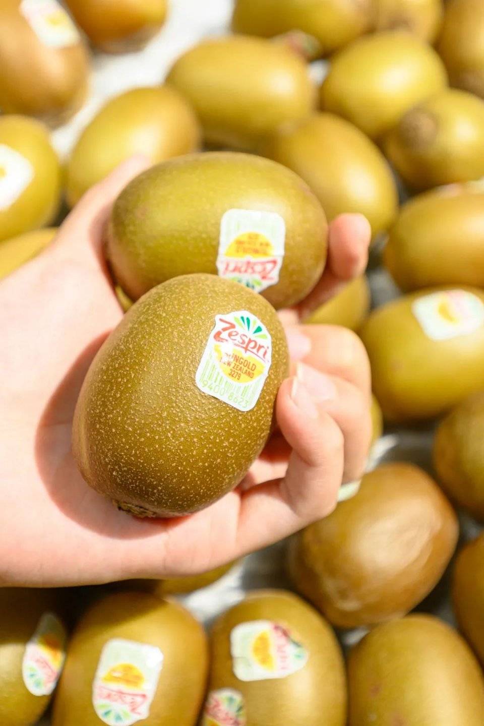 购物|卜蜂莲花购物节来了！连续15天！硬核囤货攻略Get！