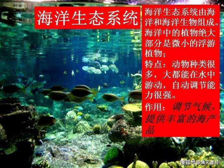 与森林,海洋并称为地球三大生态系统的湿地,也被形容为"地球之肾".