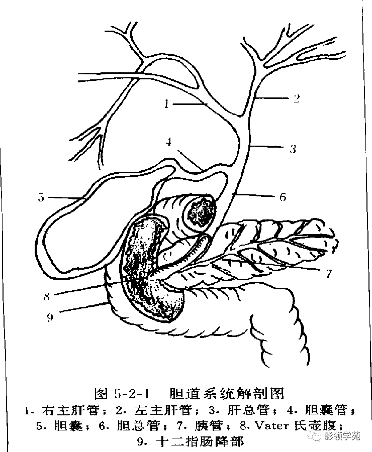 7种胆道系统疾病影像学诊断