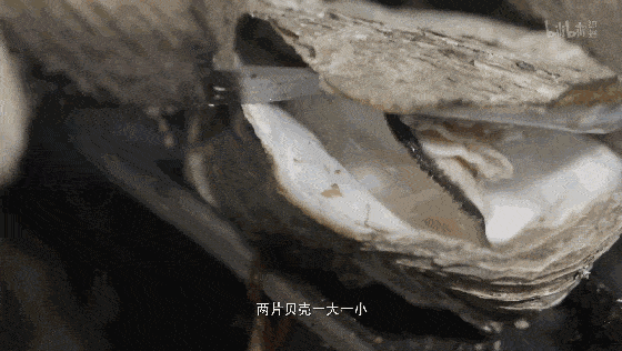 香味|不夏天！《人生一串》满屏香味，这才是中国人的“深夜食堂”！无烧烤
