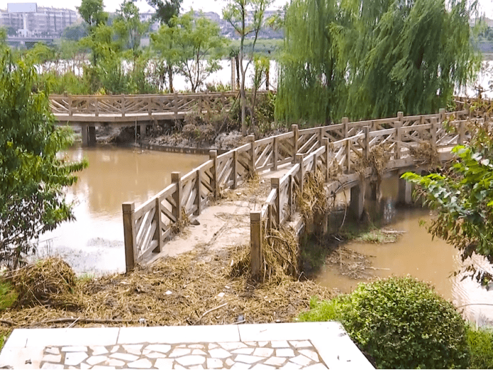 安陆府河国家湿地公园抢抓晴好天气修复水毁设施