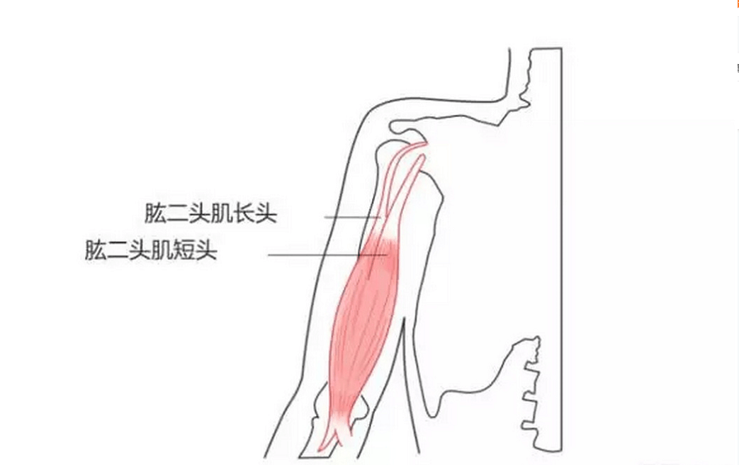 d4894357cceb46c09b85b68de8f462d7.png