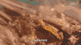 香味|不夏天！《人生一串》满屏香味，这才是中国人的“深夜食堂”！无烧烤