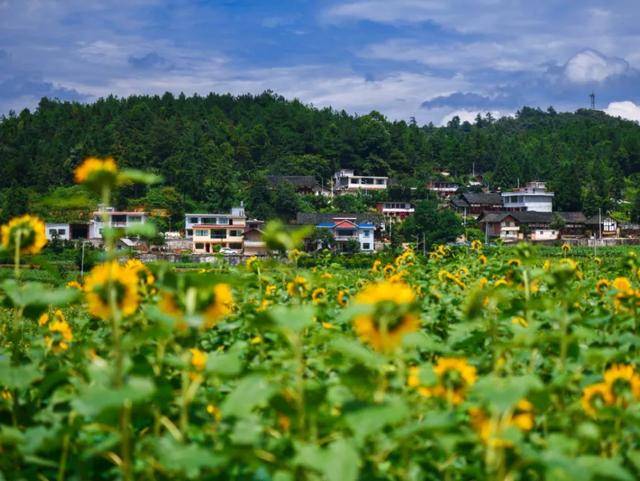 【乌当两山】践行"两山"理念,让美丽乡村颜值气质双提升!