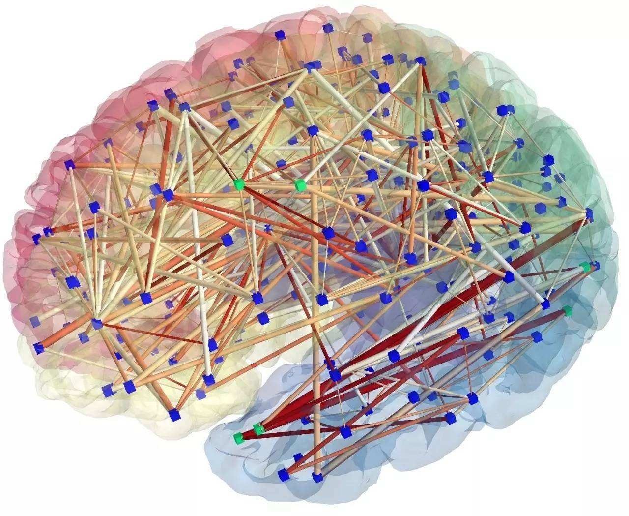 研究:神经网络的敏感性影响大脑对刺激的反应