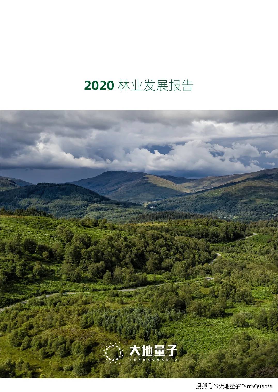 
大地量子公布《2020林业生长陈诉》：jbo竞博官网(图3)