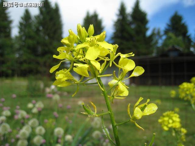 八月上旬什么时候 da0c7d33a0a94152860b63ce5b89712e.jpeg