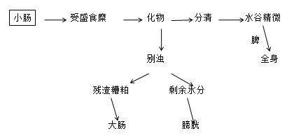 所以胃对于小肠,大肠之气的通降具有重要作用