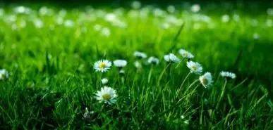 调剂|2020高考志愿填报，专业调剂到底填“服从”还是“不服从”？