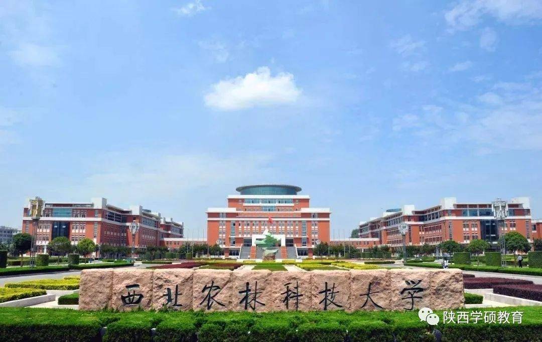 18,西安工业大学(中国书法学院)