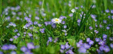 调剂|2020高考志愿填报，专业调剂到底填“服从”还是“不服从”？