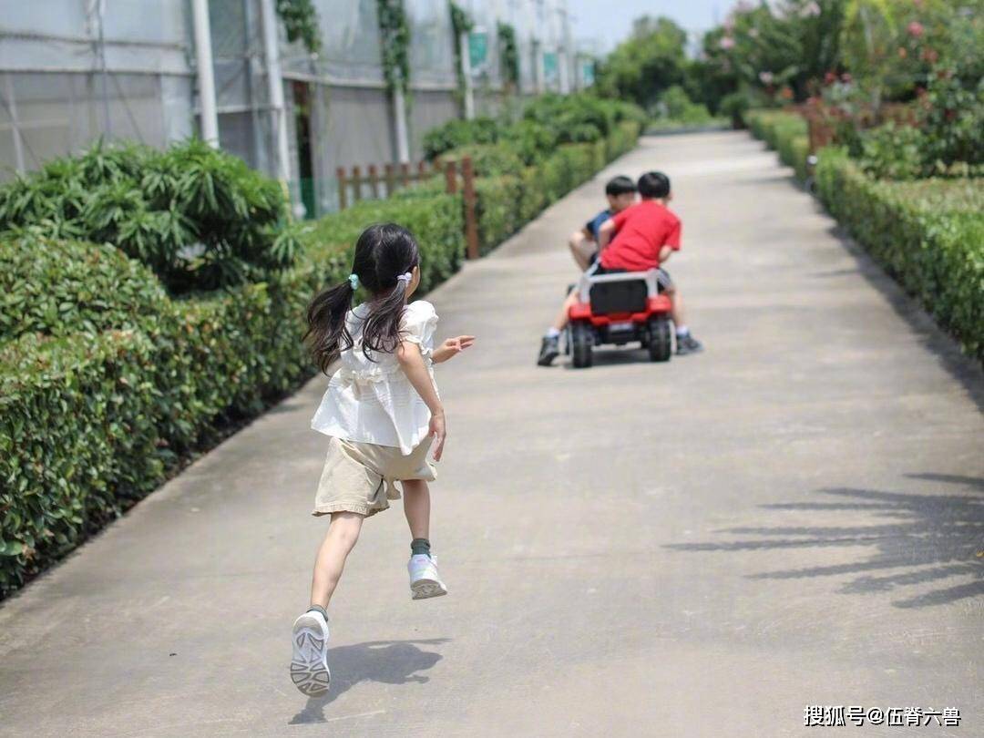 孙俪晒妹妹背影神似“森碟”,同是风一样的女子