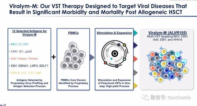 Leerink|原创医药公司AlloVir冲刺美股：拟募资2.5亿美元 路演PPT曝光