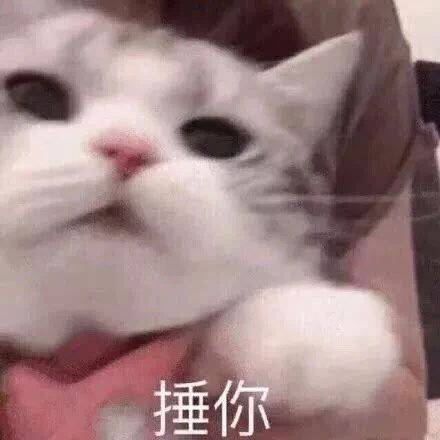 可爱表情包拿图片:太搞笑了,哈哈哈哈,已经懵逼