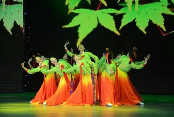 高专仍|报考了！为什么师范高专仍是最受欢迎的选择