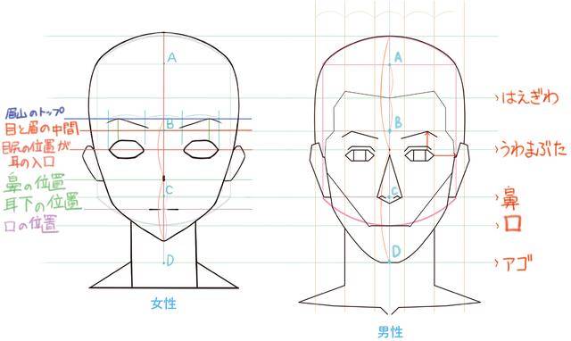 如何画出一张好看的脸?鼻子结构很关键