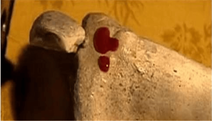 骨血|“滴血验亲”这事有科学依据吗