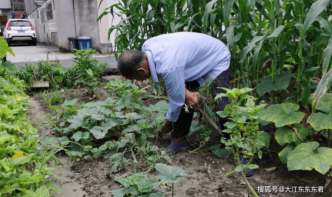 坦克兵|记忆血色 不忘英雄。河庄英雄老兵故事之高德山：技术精湛的坦克兵……