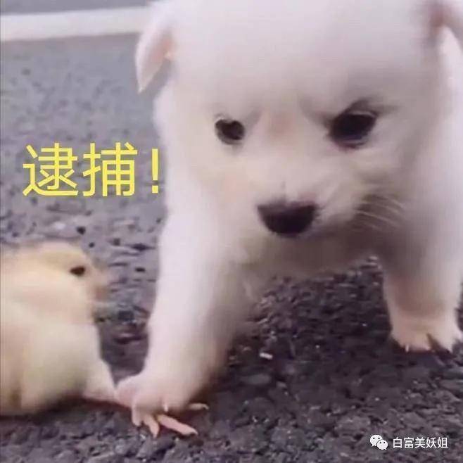 震动|日赚2亿日本第一女公关金盆洗手，震动半个富豪圈…