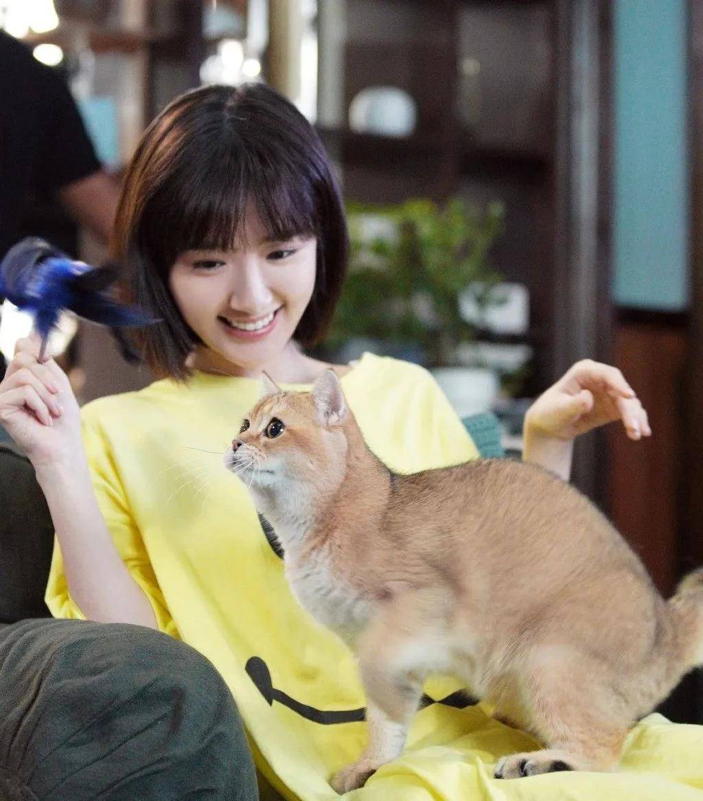 双眼皮|翻了100张照片，才发现她是贵圈换头最失败的女星