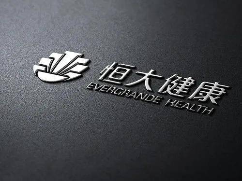 许家印|中国汽车第一股发家史