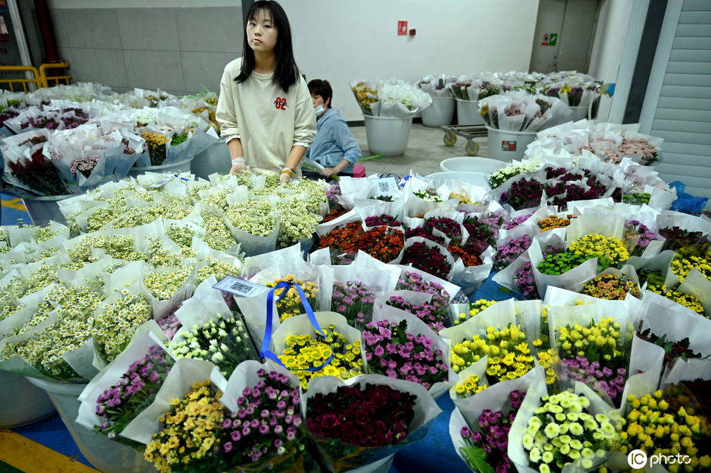 探访亚洲最大鲜花市场 8000平方米宛如"仙境"