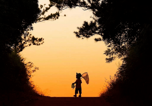 孩子|趁早了解五个实用技能，关键时刻孩子能自救暑假是意外高发期