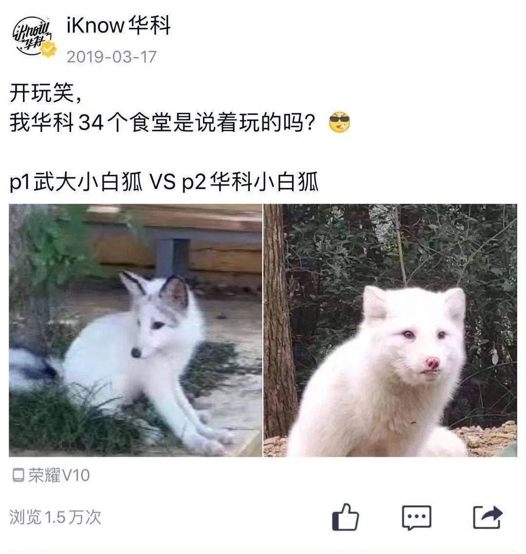 华科|中国最会闷声发大财的985华中大