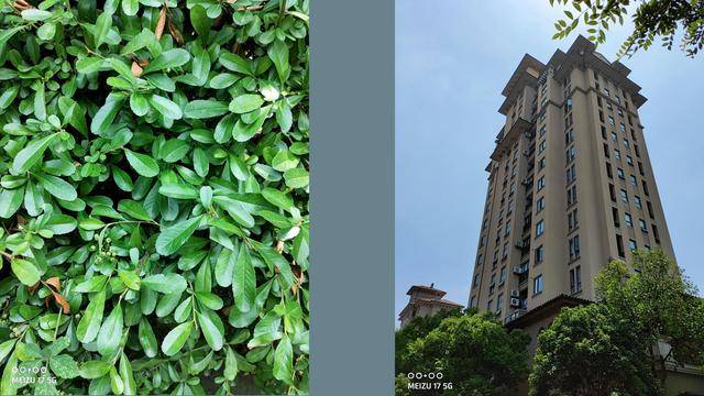 真香|魅族17测评：120Hz直屏，真香警告？