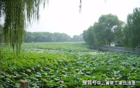秋收什么什么成语_成语故事图片(2)