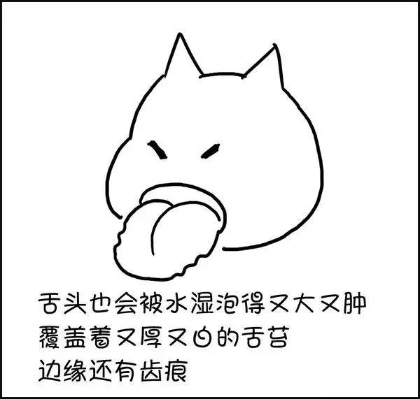 什么|湿气到底是什么？——长胖的罪魁祸首！！