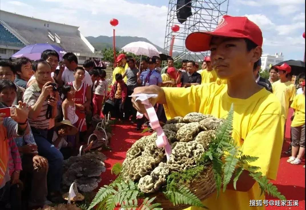 直播预告丨明早10点 第十六届中国(云南)野生食用菌交易会正式开幕