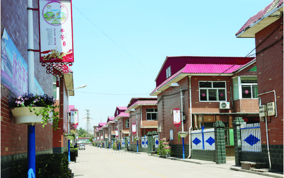 孝义市爱国卫生运动掠影