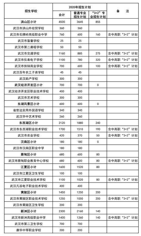 武汉职业技术学院中职分数线（武汉职业技术学校2020年录取）