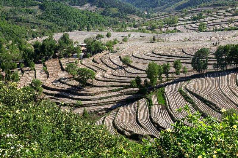 陕西旅游|避暑、游玩一个不能少 ，解锁铜川旅游免费景区新玩法！