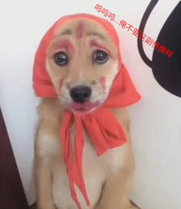 15085a735e9e4ed6a8e93df8a32b522a.jpeg