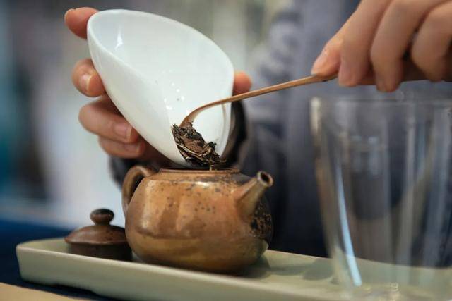 白天鹅喝茶价格人均_白天鹅简笔画
