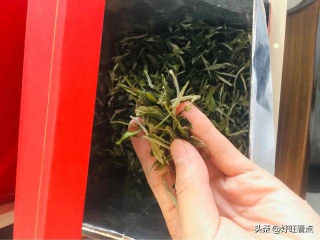 消息资讯|梁纪委：将歌声勇敢献给天地万物