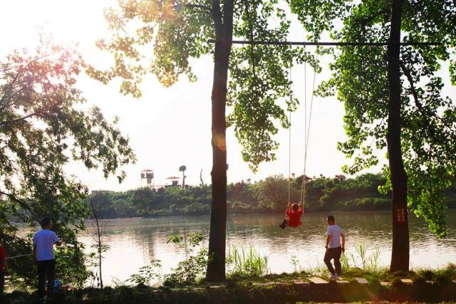 彭山|桃中极品，口口香甜彭山黄桃