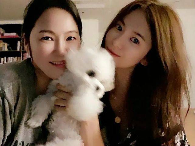 照片|原创宋慧乔被爆和玄彬一起遛狗，世纪大复合了？