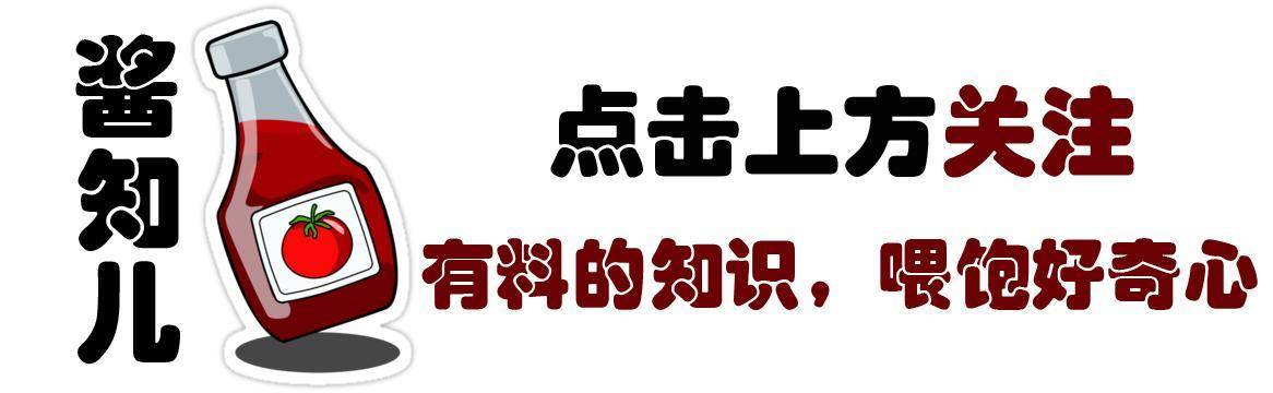 原创欧洲挖出8000年前织布机配件,比中国早4000年,刷新纺织史 原创欧洲挖出8000年前织布机配件,比中国早4000年,刷新纺织史