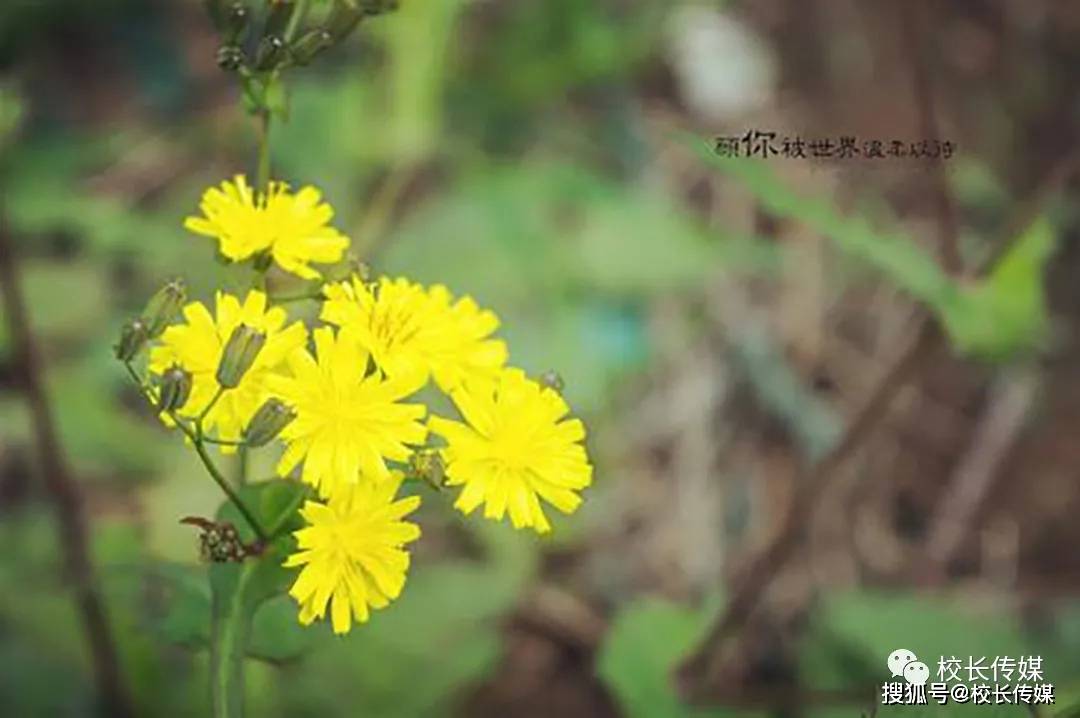 工作|当我被世界温柔以待