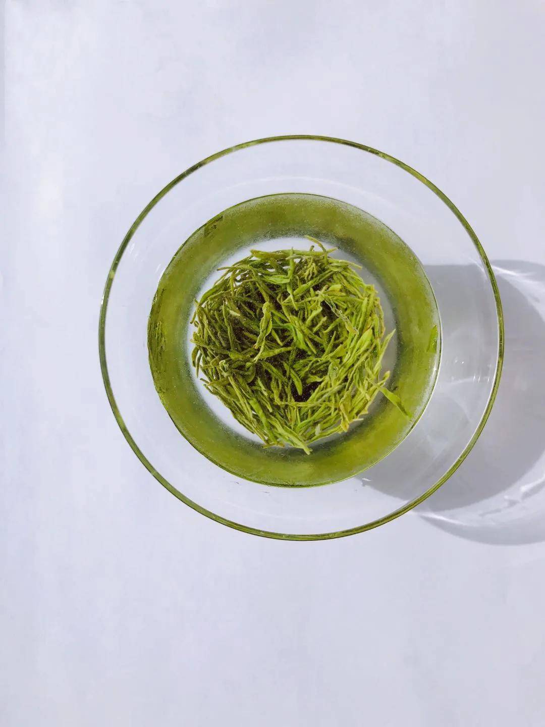 炎热的夏天,来一杯冷泡恩施玉露_茶叶