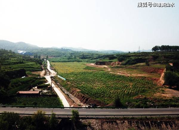 山西盂县秀水镇泥河村百亩油葵花盛开迎客来_手机搜狐网