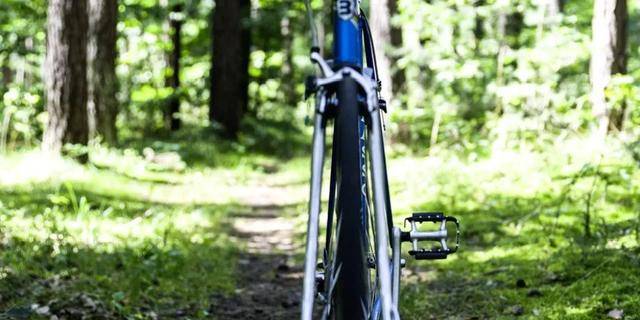 大学|到这几个城市上大学，其实不比北上广差！