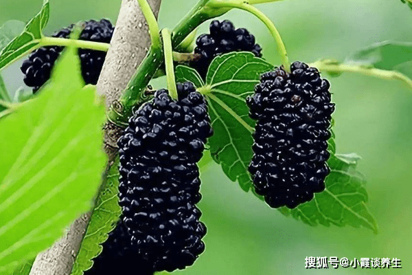 533e181d45ca42fda2facef819dd866f.png
