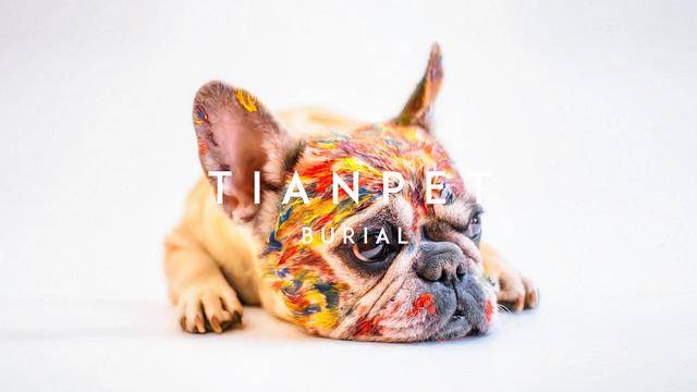 殡葬|TIANPET天宠（国内知名宠物善终品牌）宠物殡葬｜火化｜