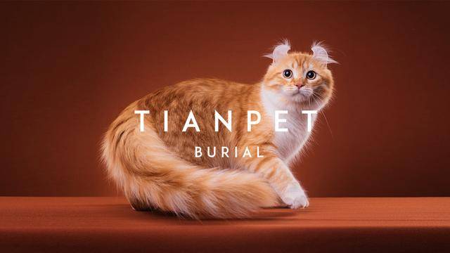 殡葬|TIANPET天宠（国内知名宠物善终品牌）宠物殡葬｜火化｜