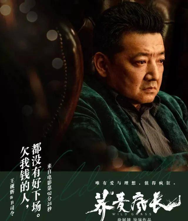 王砚辉|王砚辉一出手就是三部电影！人到中年迎来新起点，霸屏模式开启了